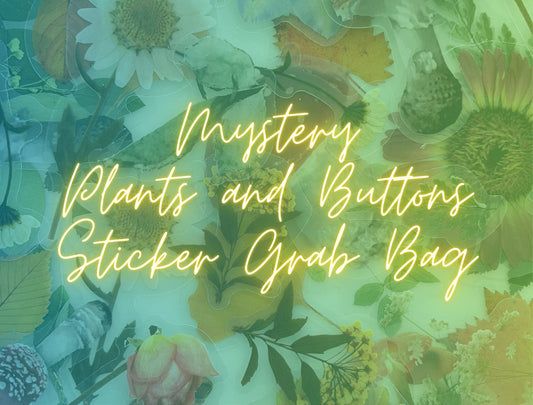 Random Sticker Grab Bag, Mystery Sticker Grab Bag, Plants and Vintage Buttons, Cute Stickers, Journal Stickers, Clear and Paper Stickers